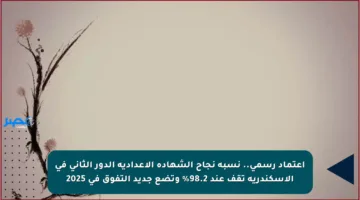 اعتماد رسمي.. نسبة نجاح الشهادة الإعدادية الدور الثاني في الإسكندرية تقف عند 98.2% وتضع جديد التفوق في 2025